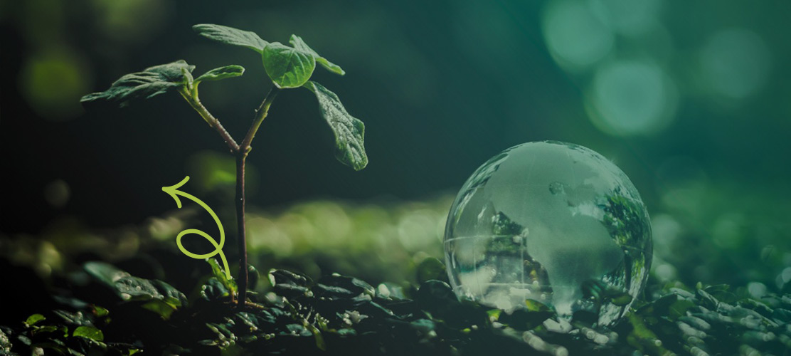 Banner for Sustainability blog